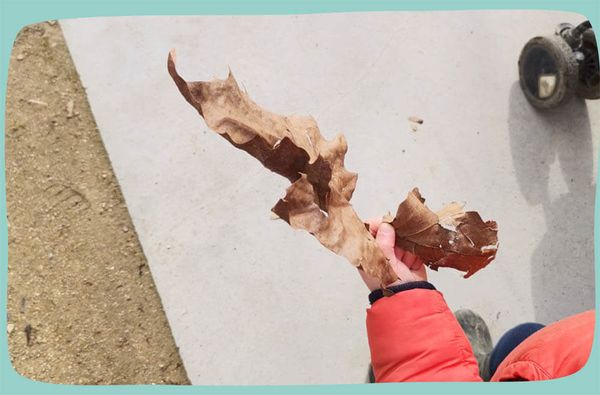 Photo illustrant une promenade en tant qu'assistante maternelle
